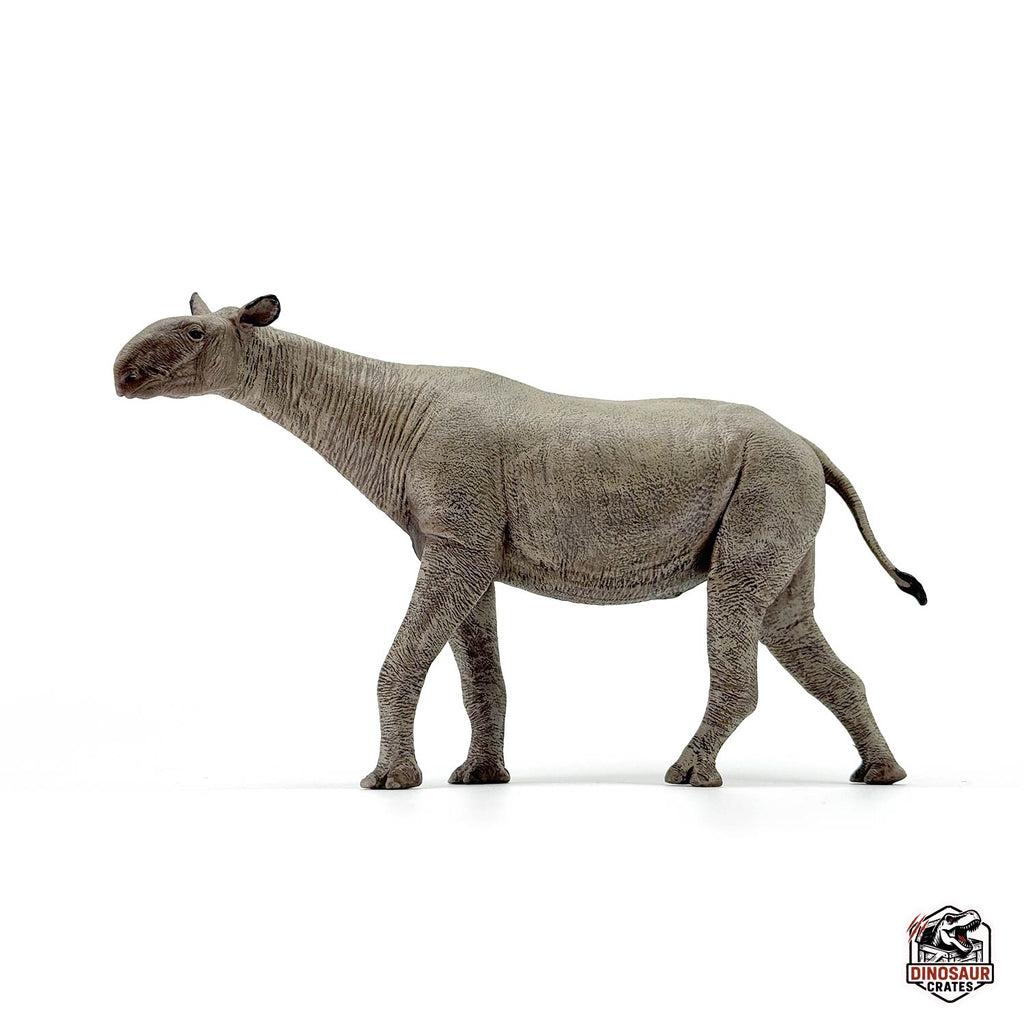 Eofauna Paraceratherium Figure