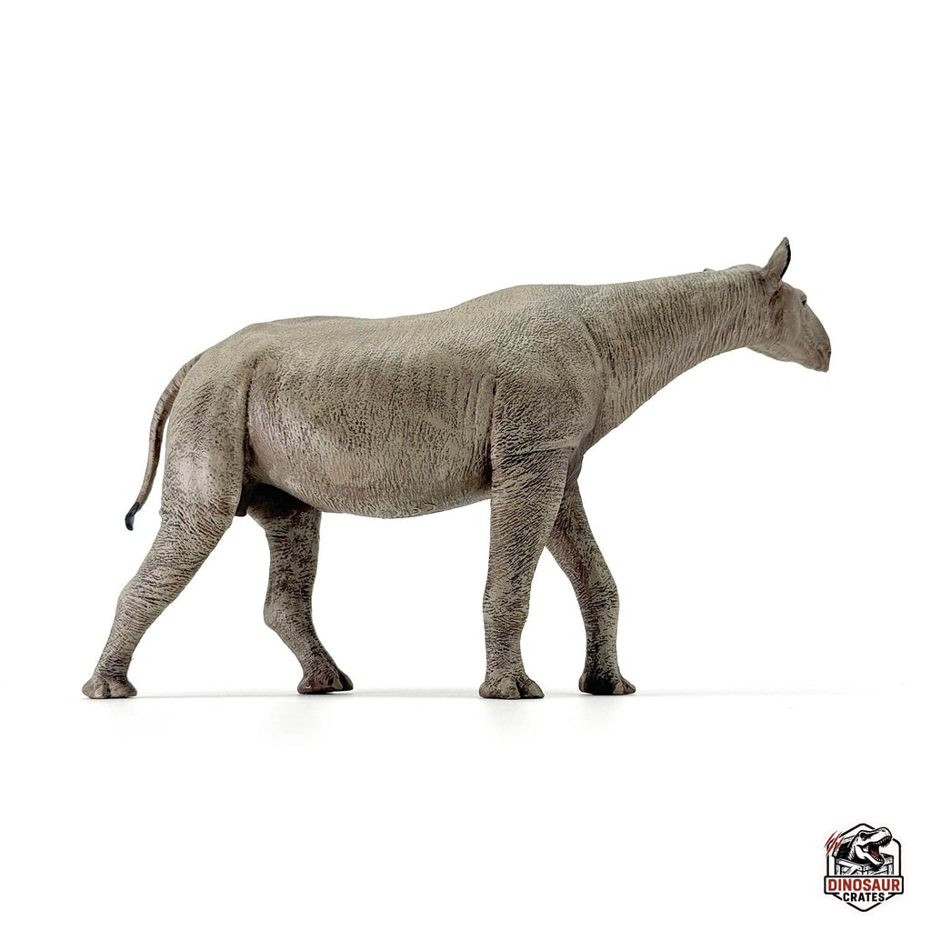Eofauna Paraceratherium Figure