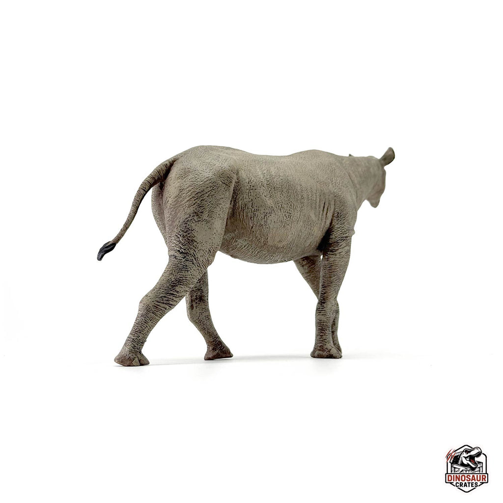 Eofauna Paraceratherium Figure