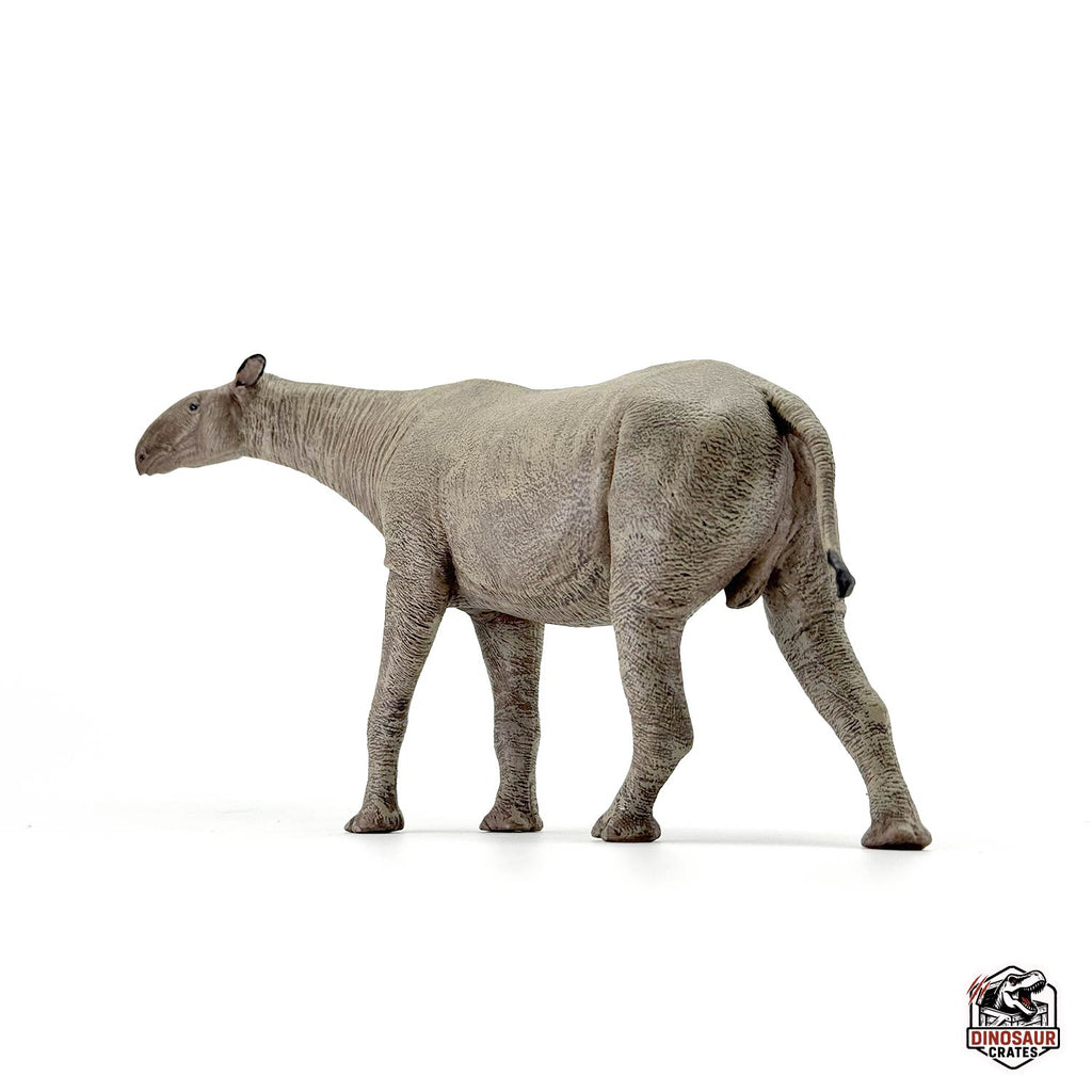 Eofauna Paraceratherium Figure