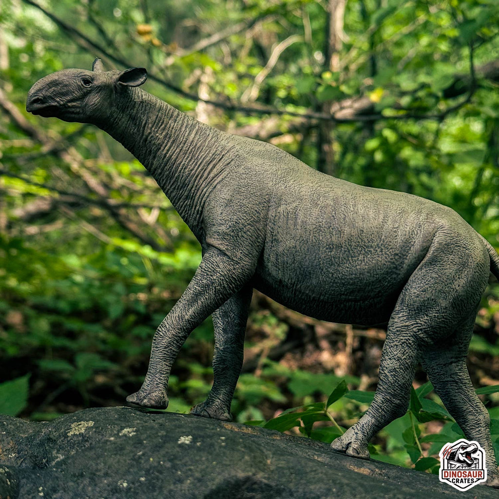 Eofauna Paraceratherium Figure