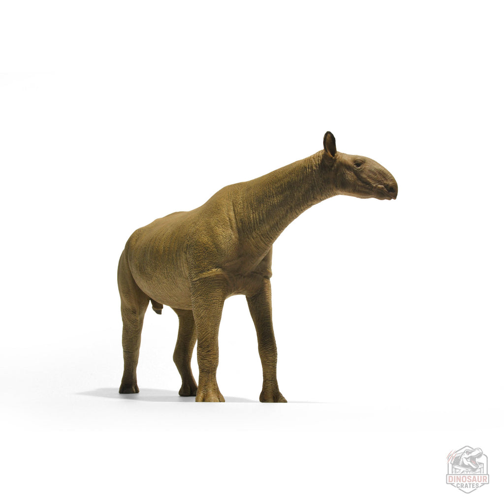 Eofauna Paraceratherium Figure (PRE-ORDER)