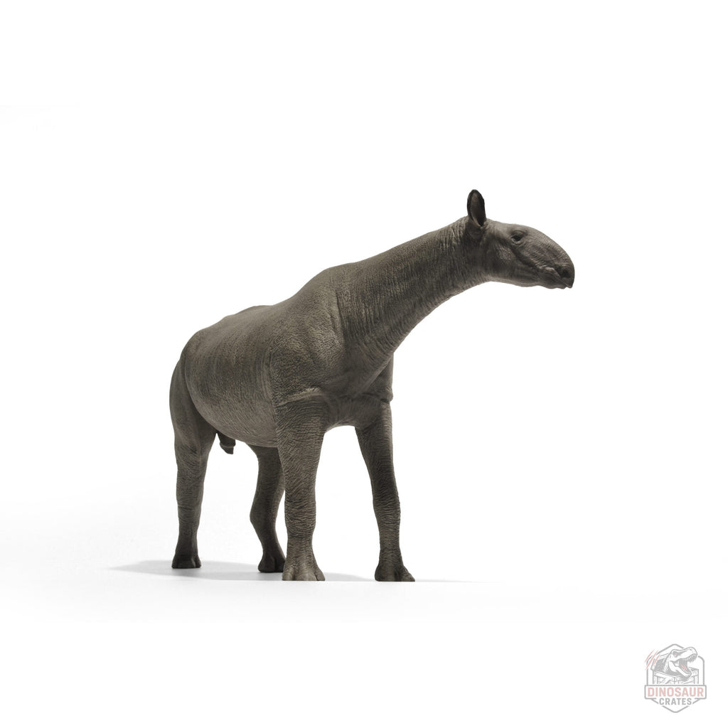 Eofauna Paraceratherium Figure