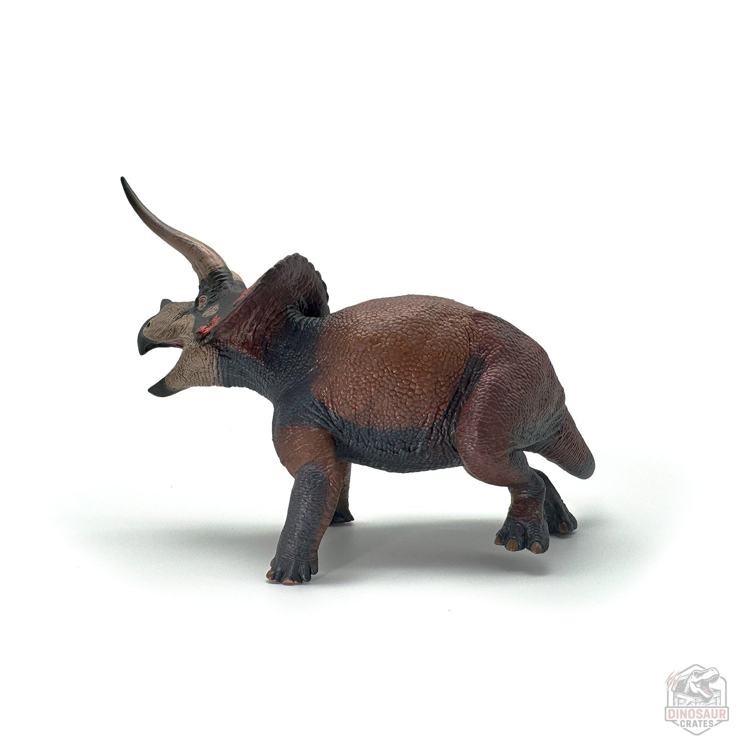 Eofauna Triceratops Dinosaur Figure