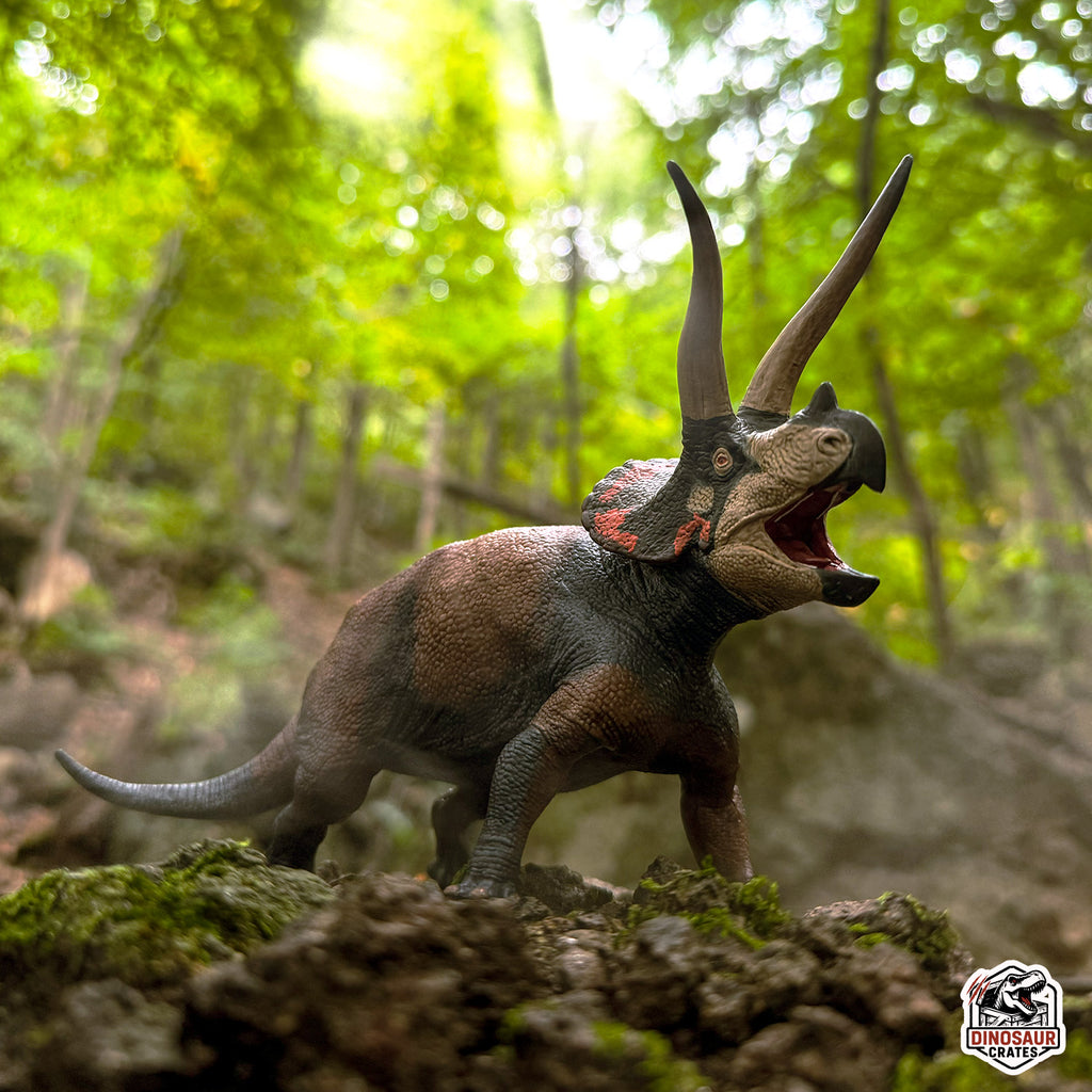 EoFauna Triceratops Dinosaur toy figure in a forest setting