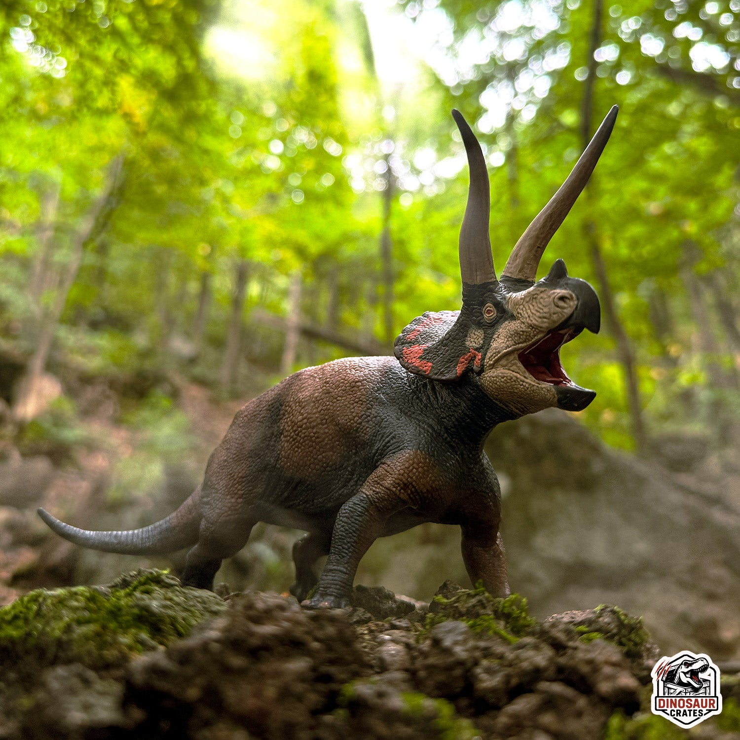 EoFauna Triceratops Dinosaur toy figure in a forest setting