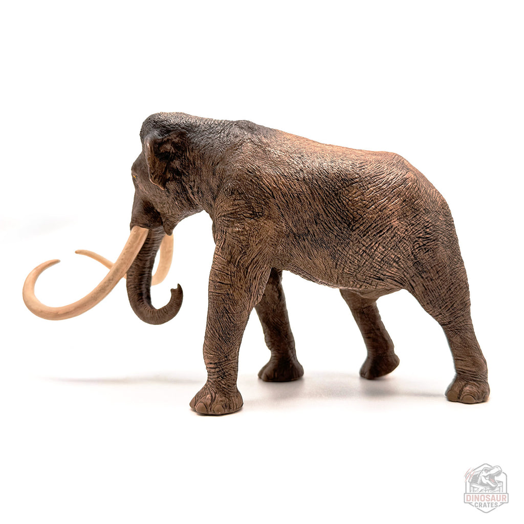 Eofauna Columbian Mammoth Figure