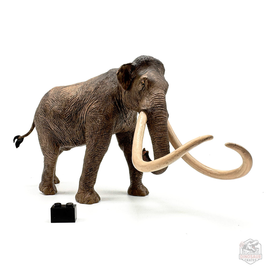 Eofauna Columbian Mammoth Figure