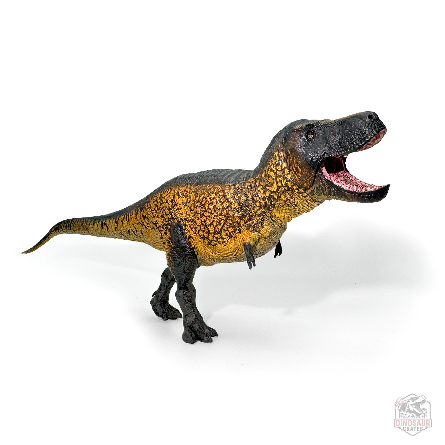 Eofauna Tyrannosaurus Rex ("Sue") Dinosaur Figure