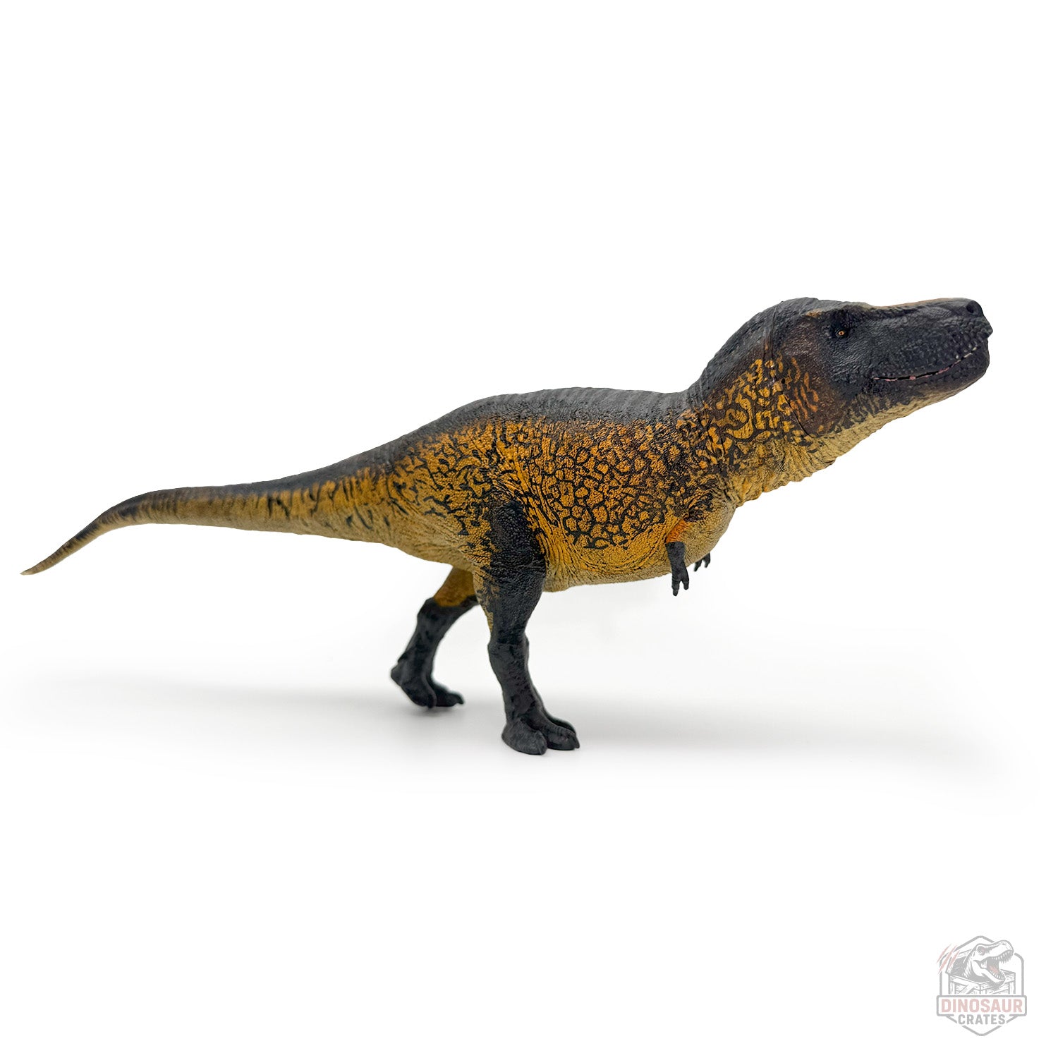 Eofauna Tyrannosaurus Rex ("Sue") Dinosaur Figure