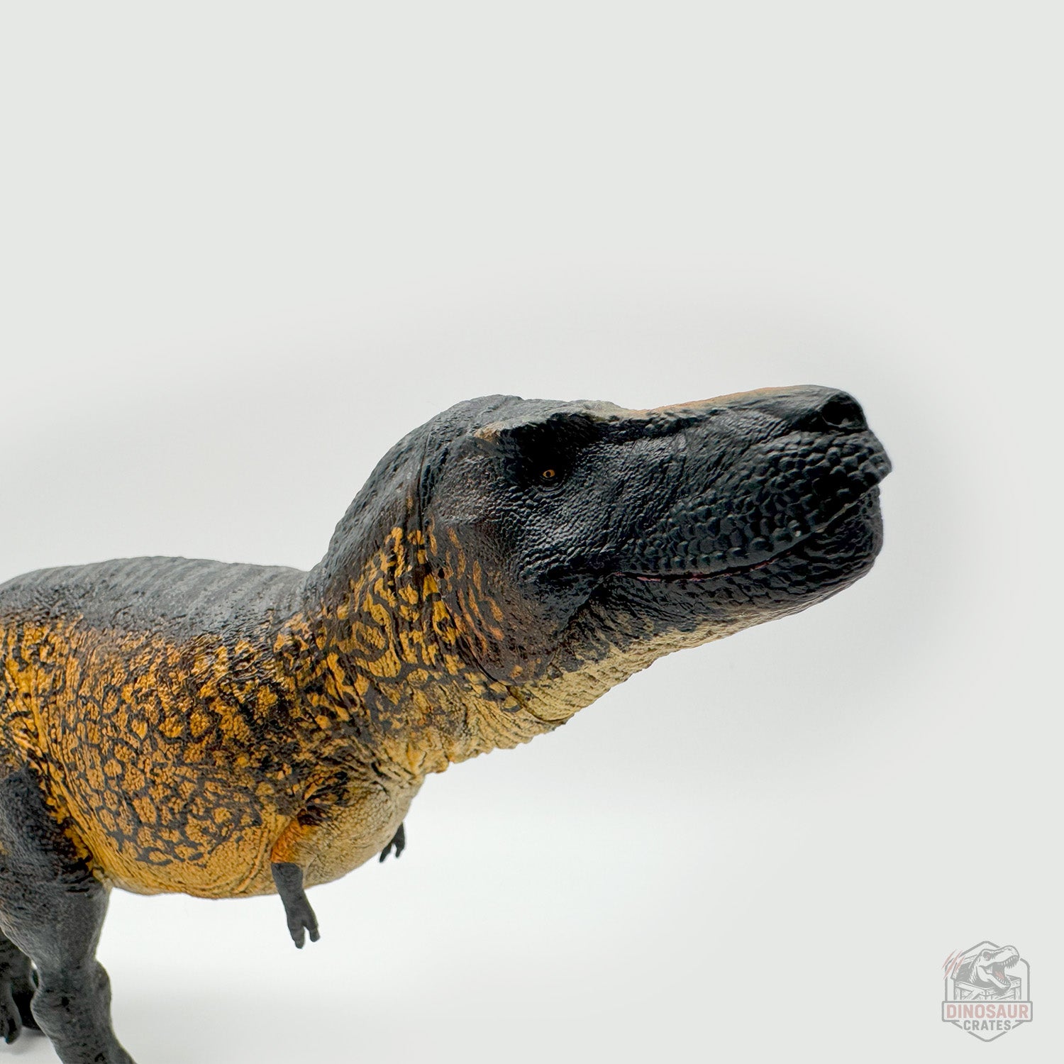 Eofauna Tyrannosaurus Rex ("Sue") Dinosaur Figure