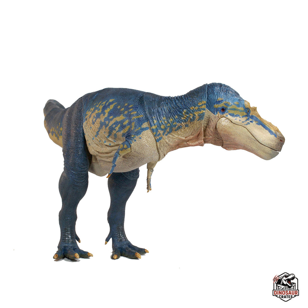 Gorgosaurus libratus – Beasts of the Mesozoic