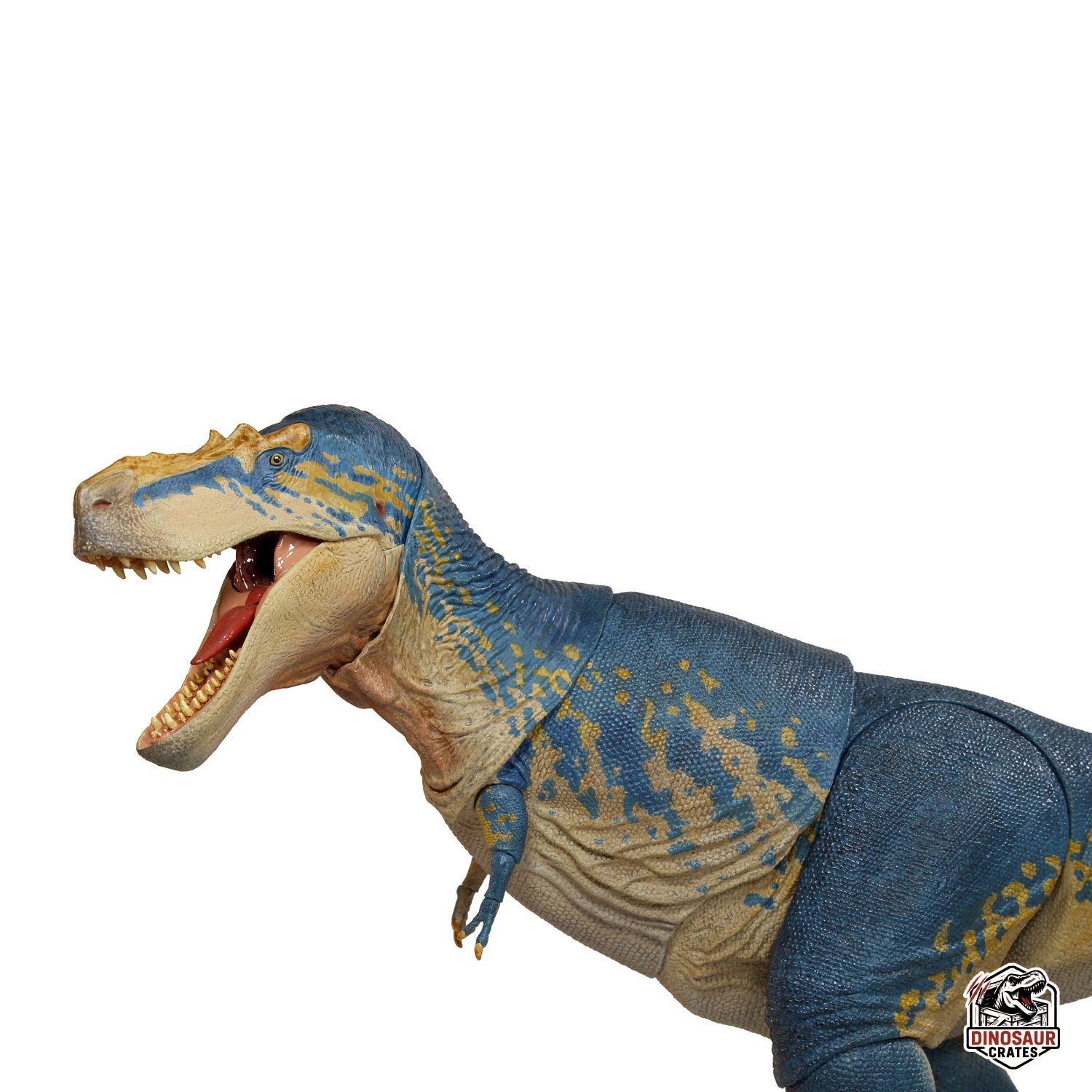 Gorgosaurus libratus – Beasts of the Mesozoic