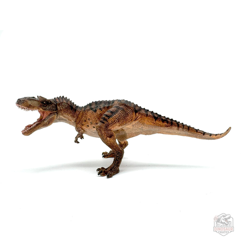 Papo Gorgosaurus Dinosaur Figure