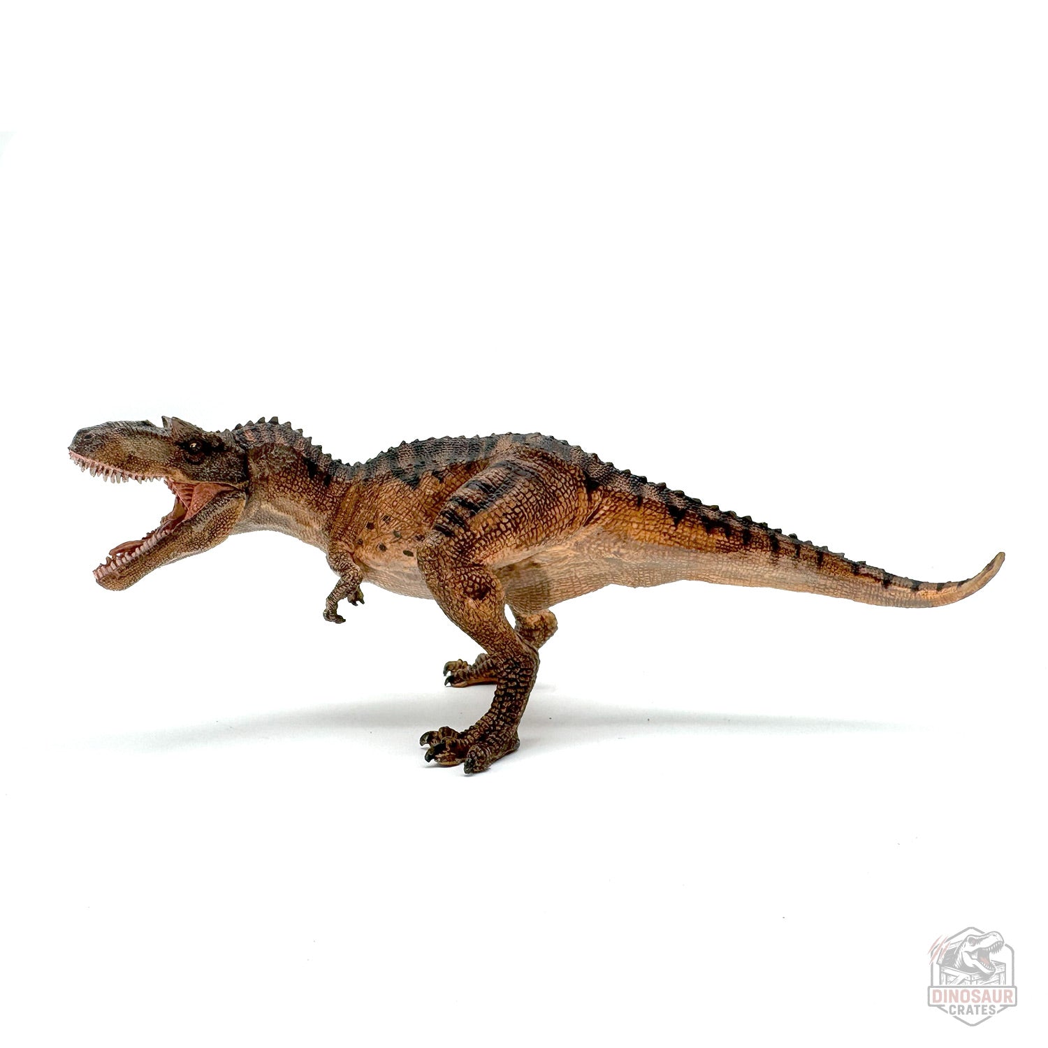 Papo Gorgosaurus Dinosaur Figure