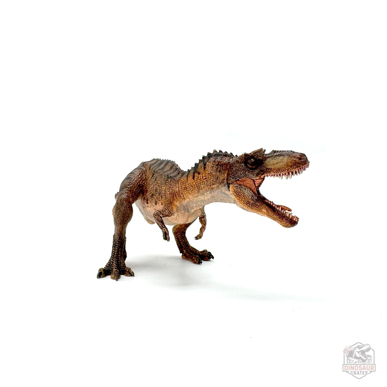 Papo Gorgosaurus Dinosaur Figure