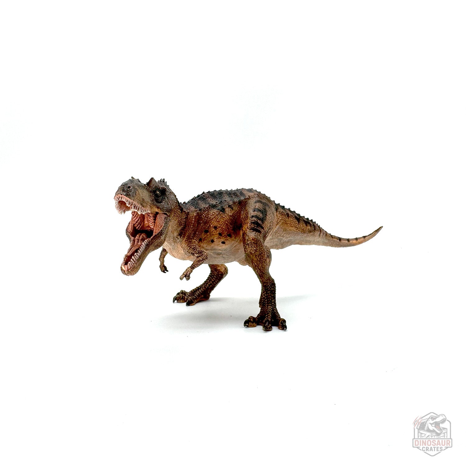 Papo Gorgosaurus Dinosaur Figure