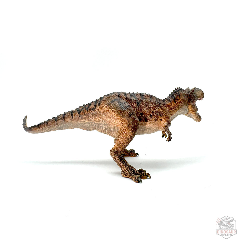 Papo Gorgosaurus Dinosaur Figure