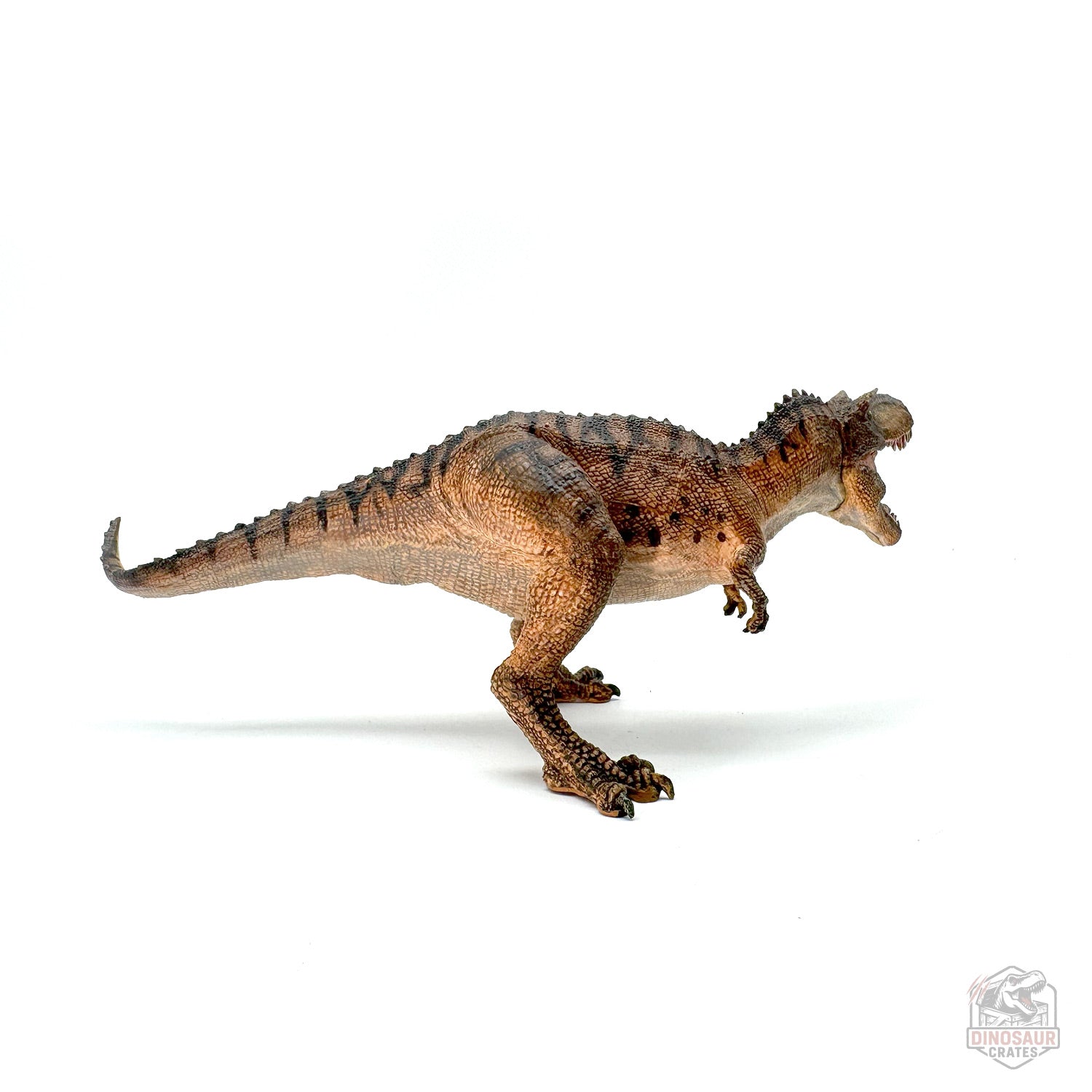 Papo Gorgosaurus Dinosaur Figure