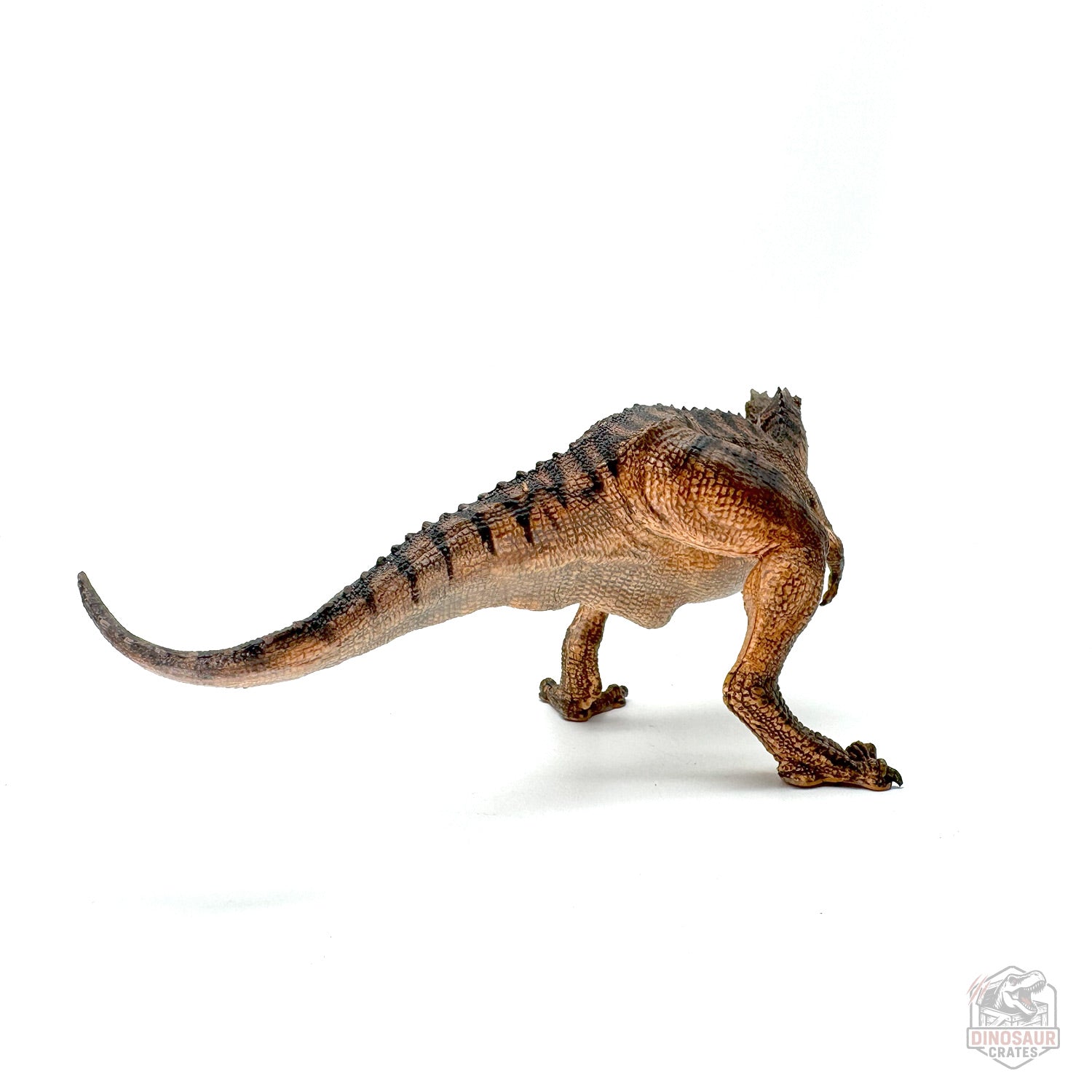 Papo Gorgosaurus Dinosaur Figure