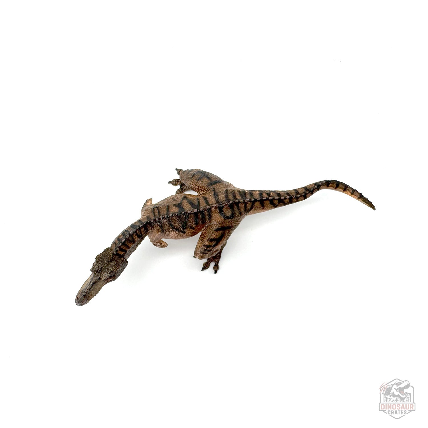 Papo Gorgosaurus Dinosaur Figure