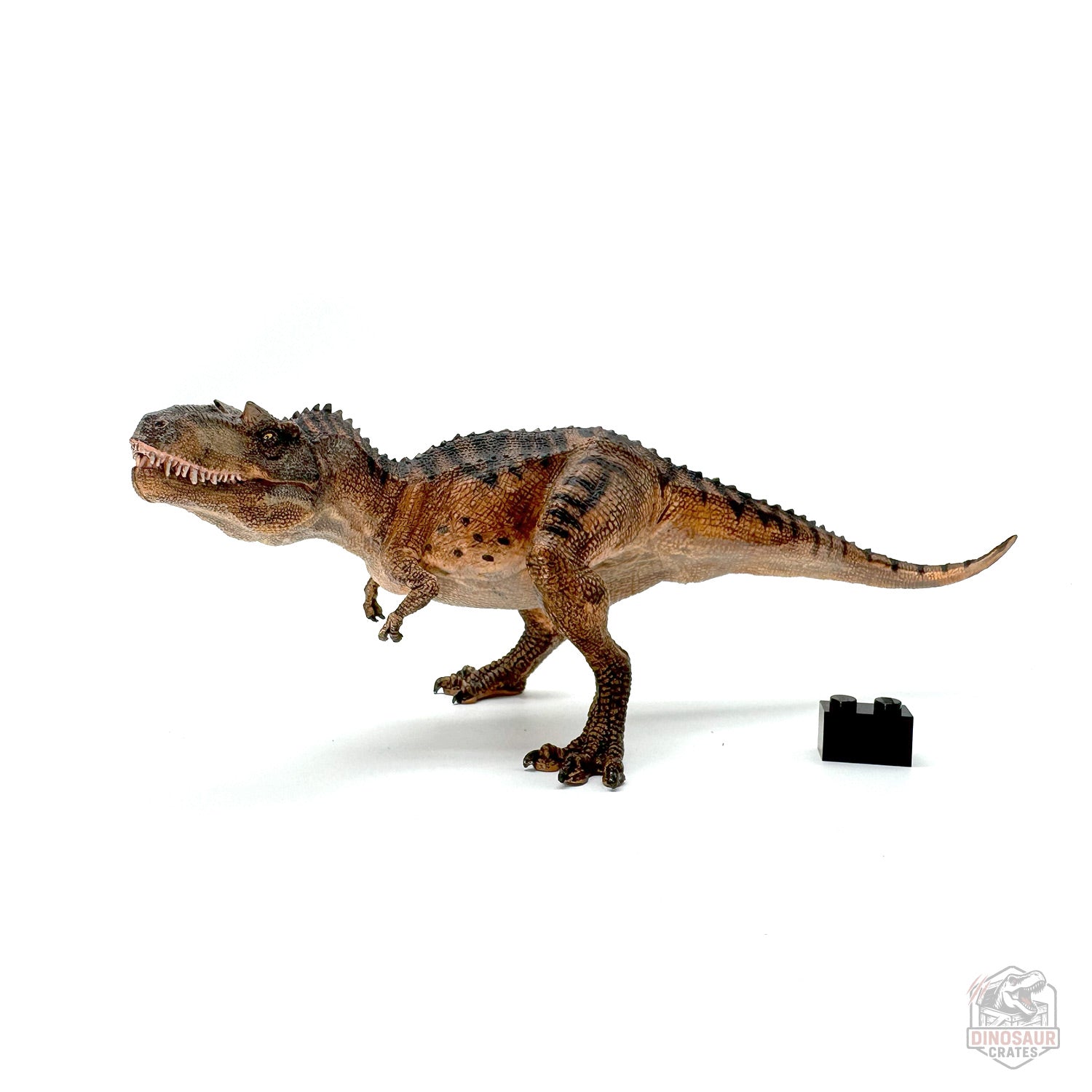 Papo Gorgosaurus Dinosaur Figure