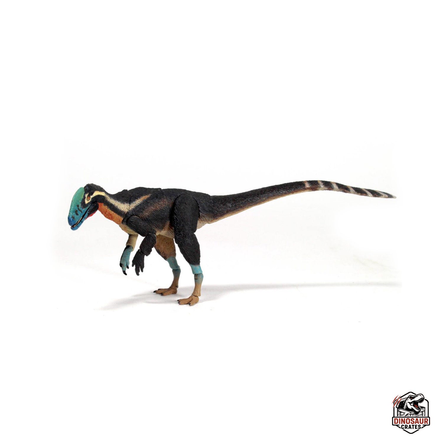 Guanlong wucaii – Beasts of the Mesozoic