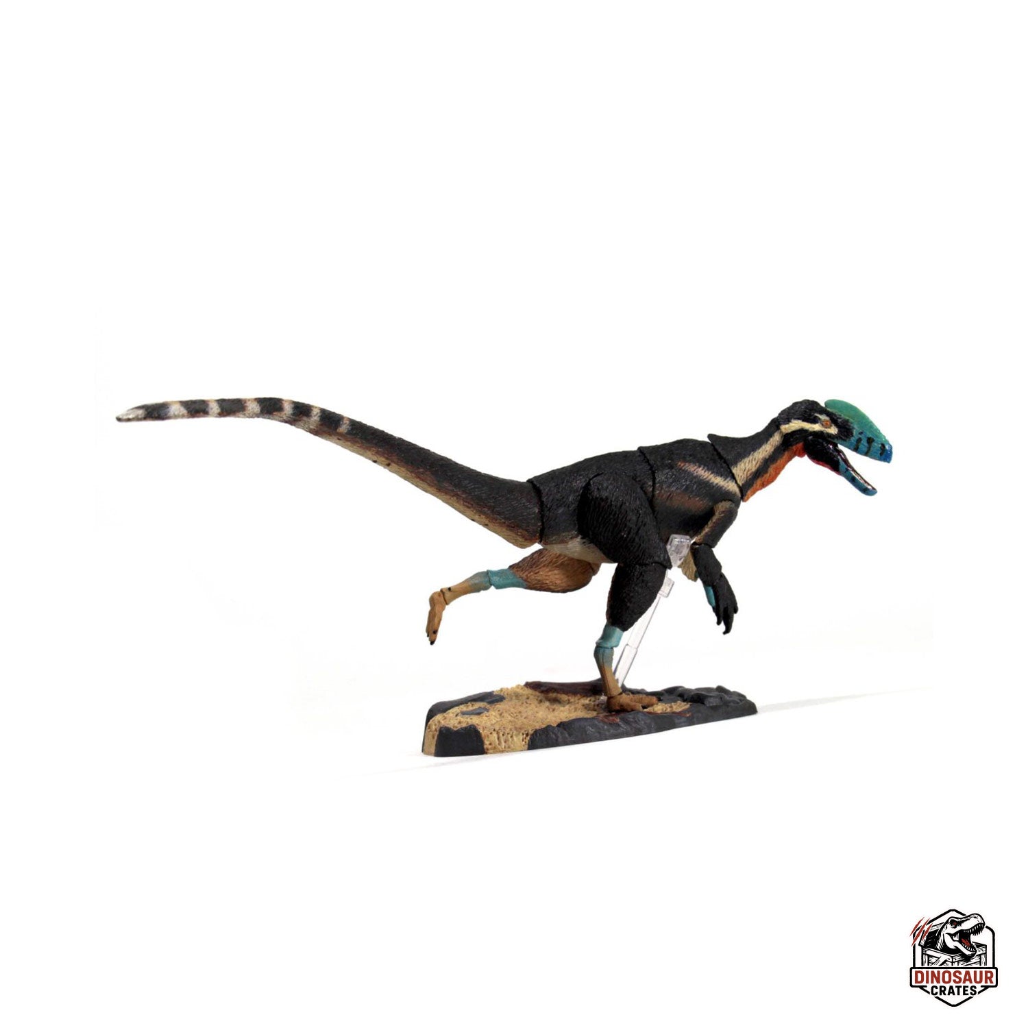 Guanlong wucaii – Beasts of the Mesozoic