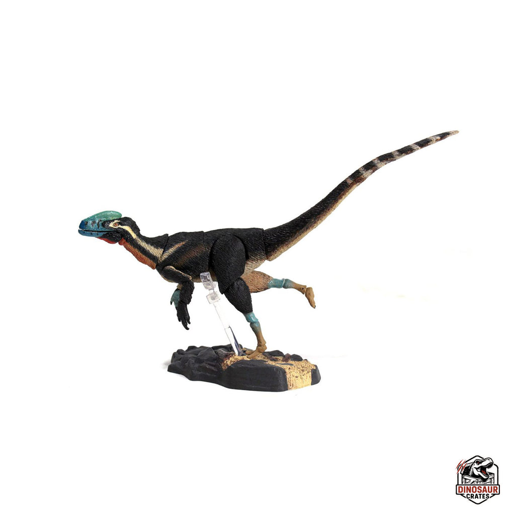 Guanlong wucaii – Beasts of the Mesozoic