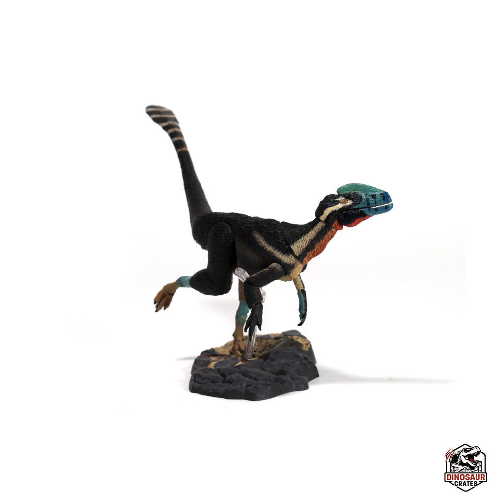 Guanlong wucaii – Beasts of the Mesozoic