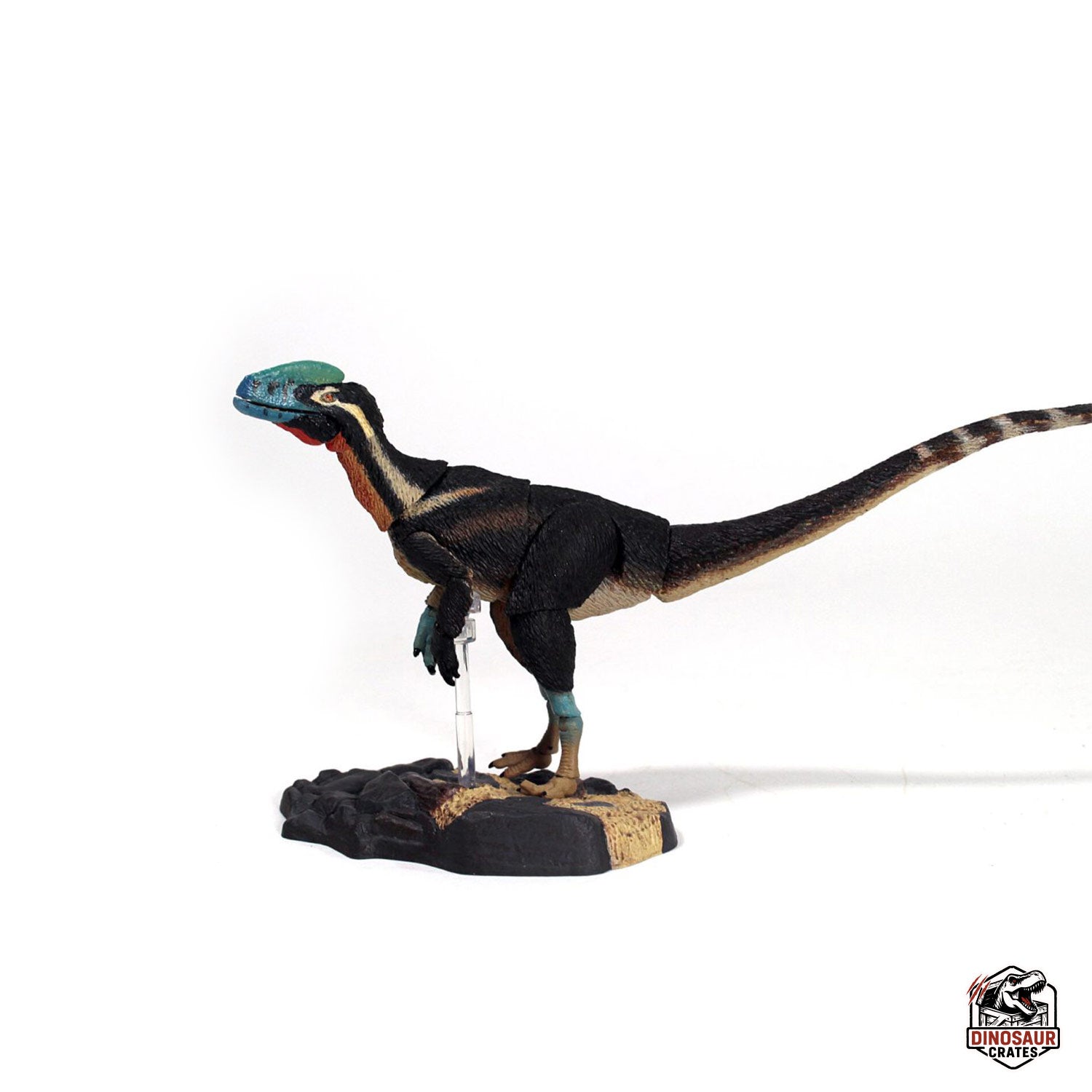 Guanlong wucaii – Beasts of the Mesozoic