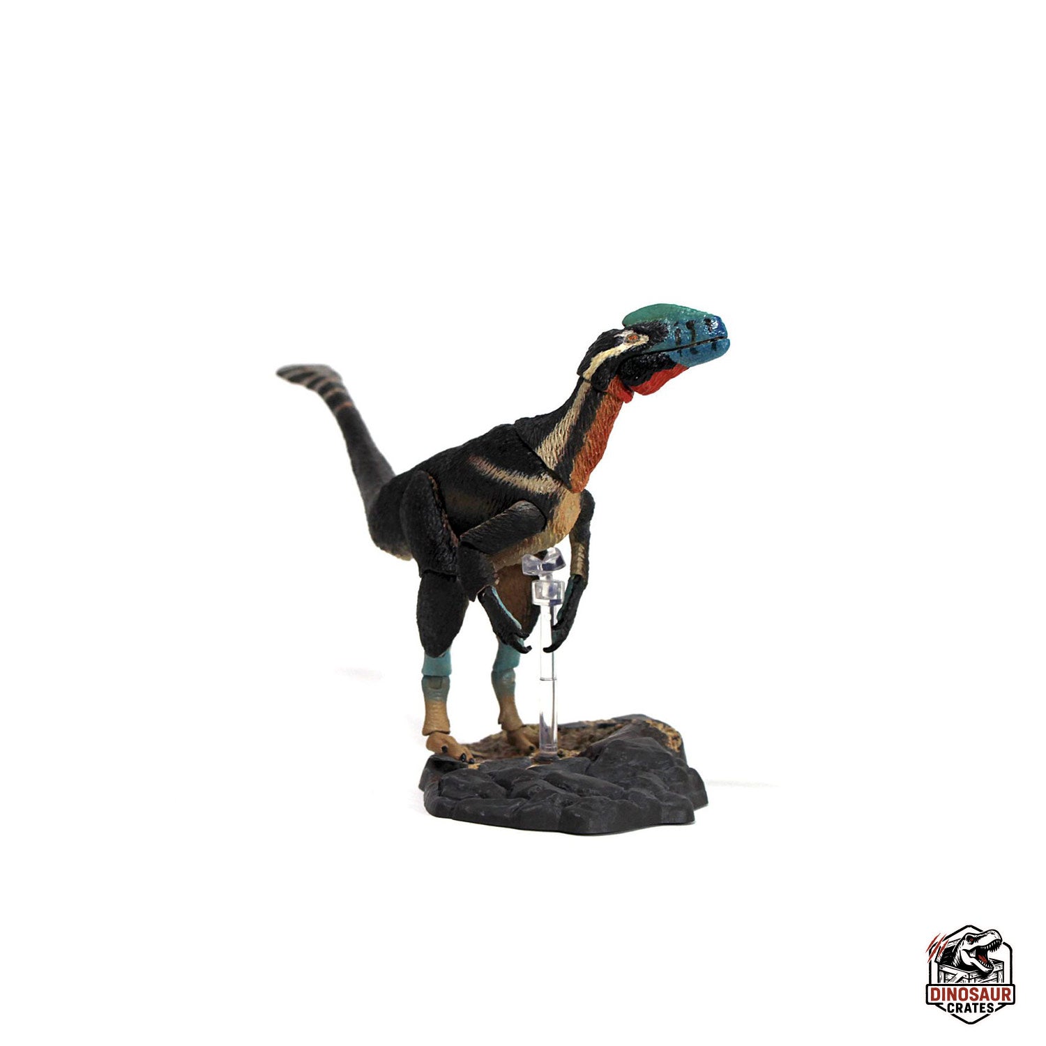 Guanlong wucaii – Beasts of the Mesozoic