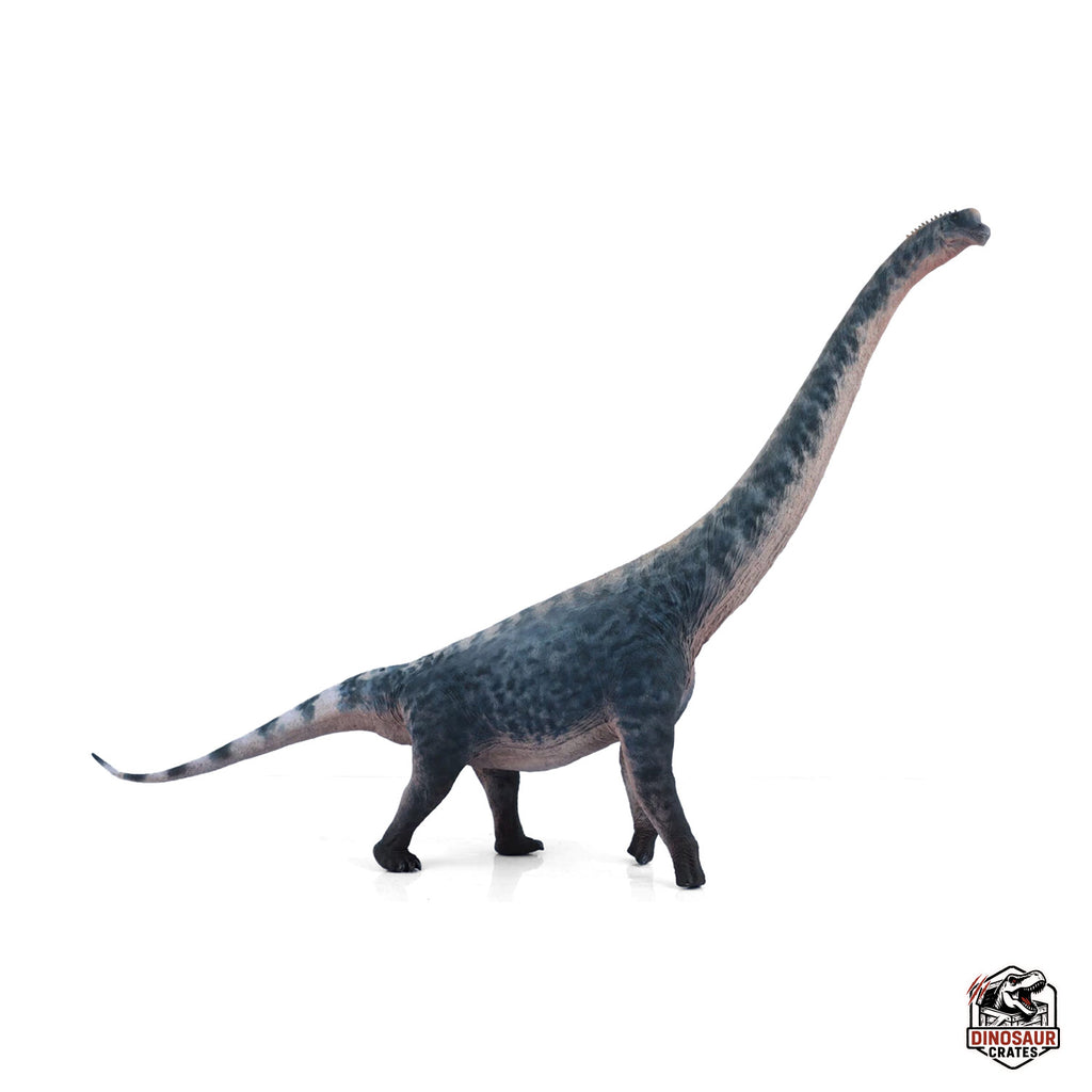 Figurine de dinosaure Brachiosaurus Haolonggood (Précommande)