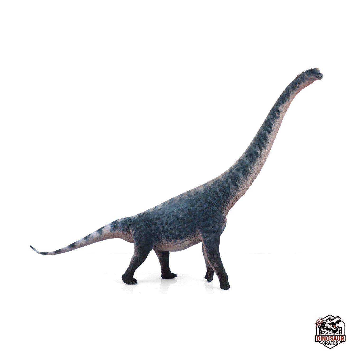 Haolonggood Brachiosaurus Dinosaur Figure (Pre-order)