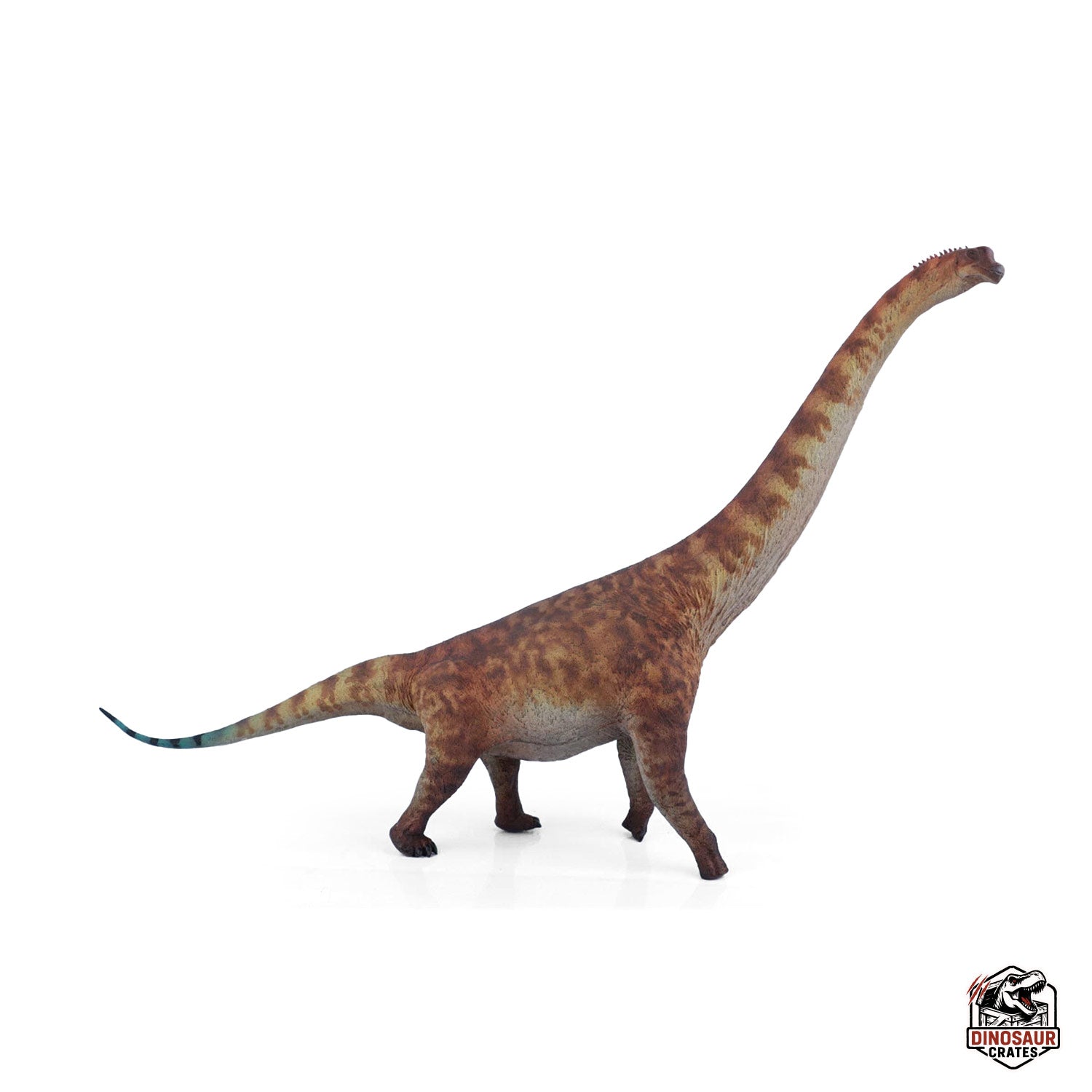Haolonggood Brachiosaurus Dinosaur Figure (Pre-order)
