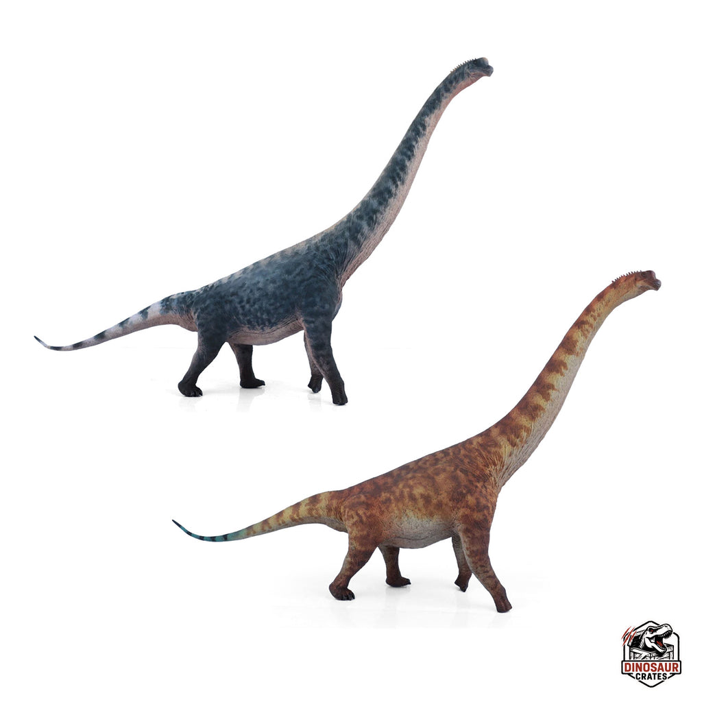 Figurine de dinosaure Brachiosaurus Haolonggood (Précommande)