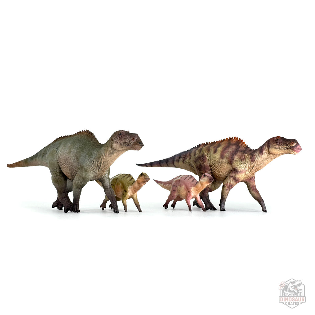 Haolonggood Maiasaura Dinosaur Figure