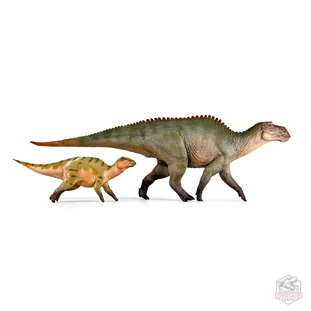 Haolonggood Maiasaura Dinosaur Figure