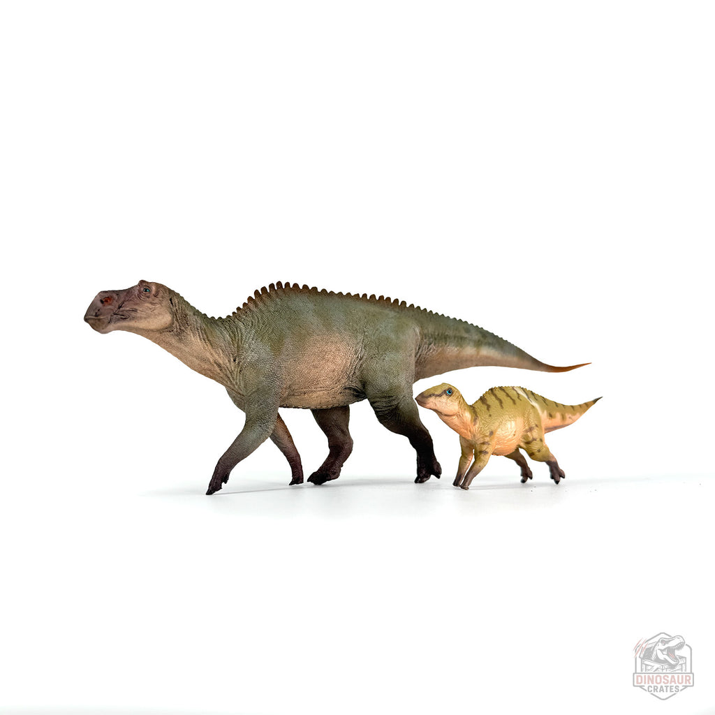 Haolonggood Maiasaura Dinosaur Figure