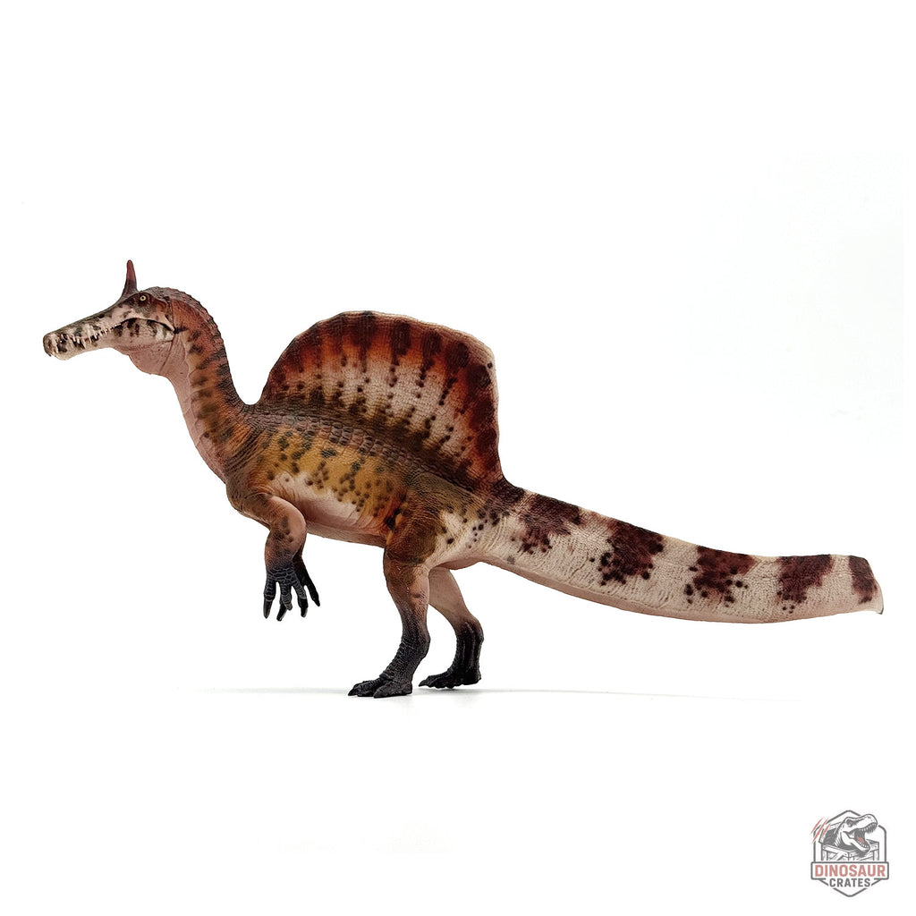 Haolonggood Spinosaurus Mirabilis Dinosaur Figure (PRE-ORDER)