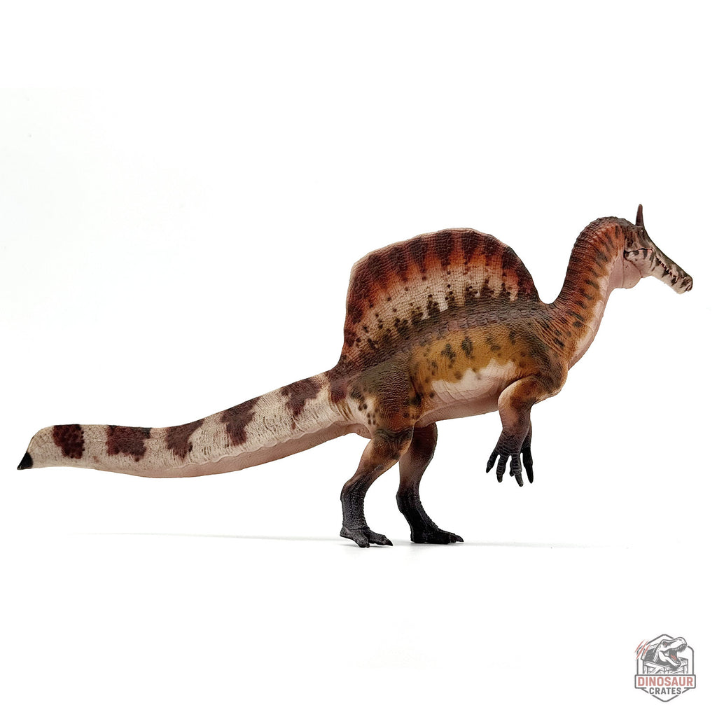 Haolonggood Spinosaurus Mirabilis Dinosaur Figure (PRE-ORDER)
