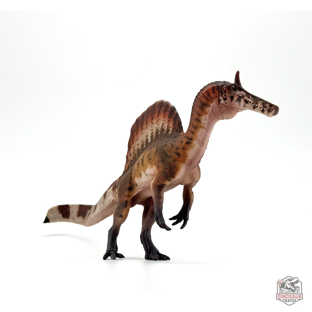 Haolonggood Spinosaurus Mirabilis Dinosaur Figure (PRE-ORDER)
