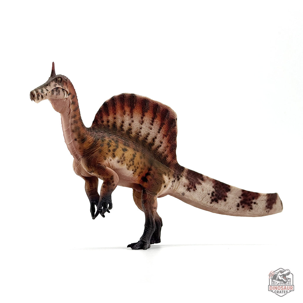 Haolonggood Spinosaurus Mirabilis Dinosaur Figure (PRE-ORDER)