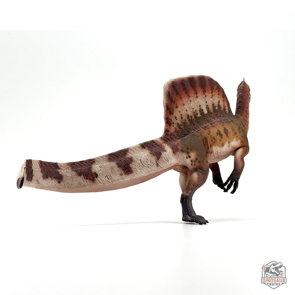 Haolonggood Spinosaurus Mirabilis Dinosaur Figure (PRE-ORDER)
