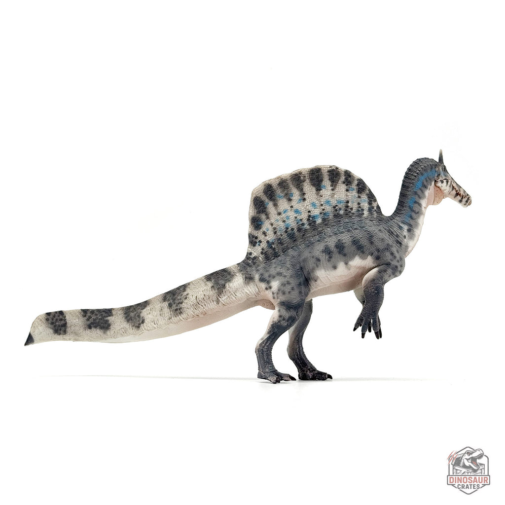 Haolonggood Spinosaurus Mirabilis Dinosaur Figure (PRE-ORDER)