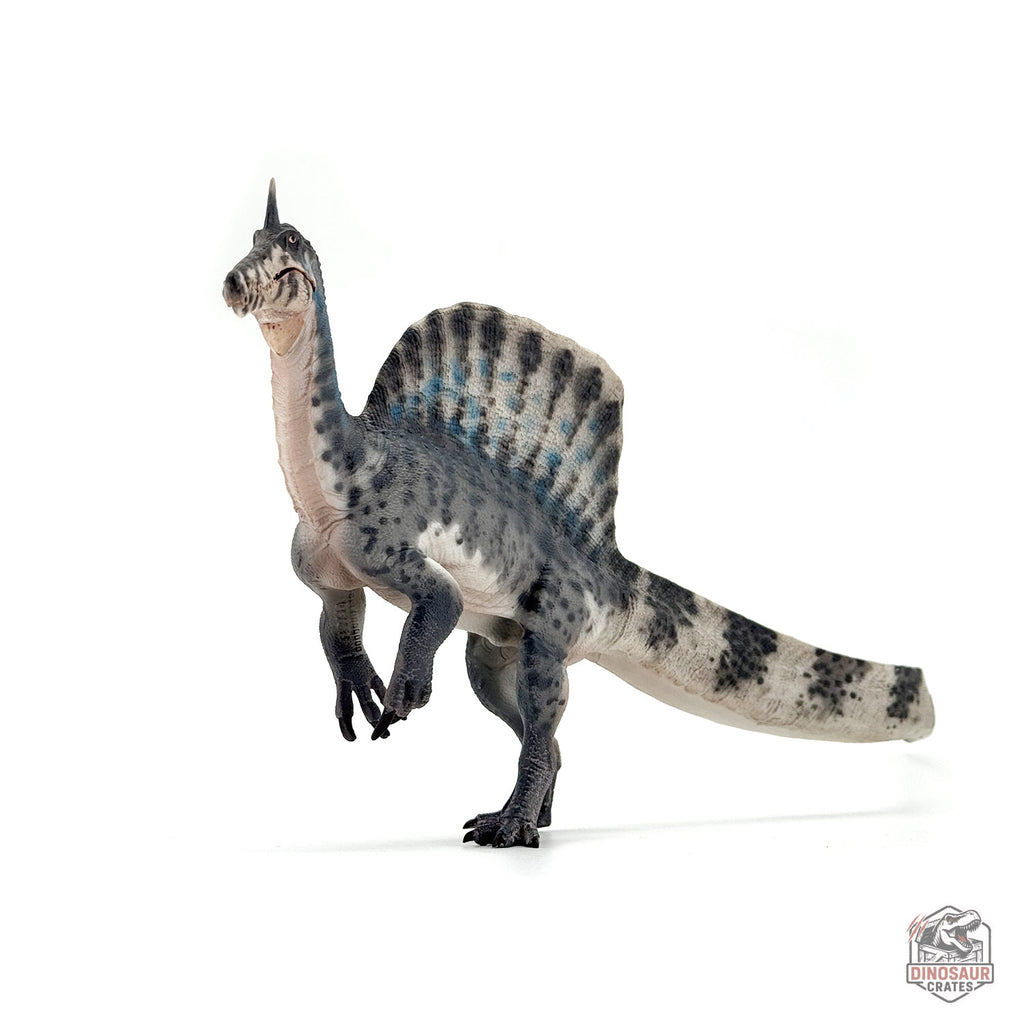 Haolonggood Spinosaurus Mirabilis Dinosaur Figure (PRE-ORDER)