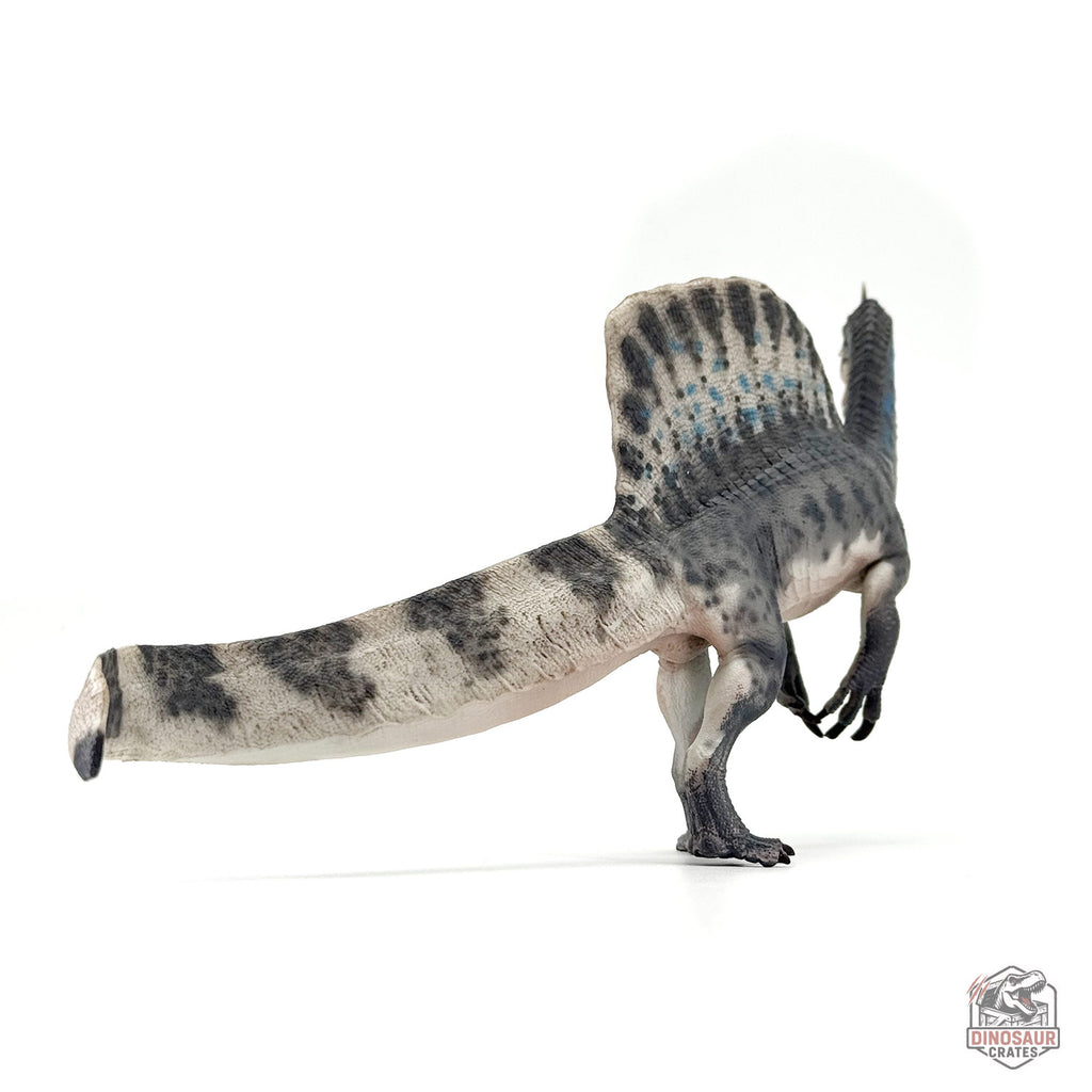 Haolonggood Spinosaurus Mirabilis Dinosaur Figure (PRE-ORDER)