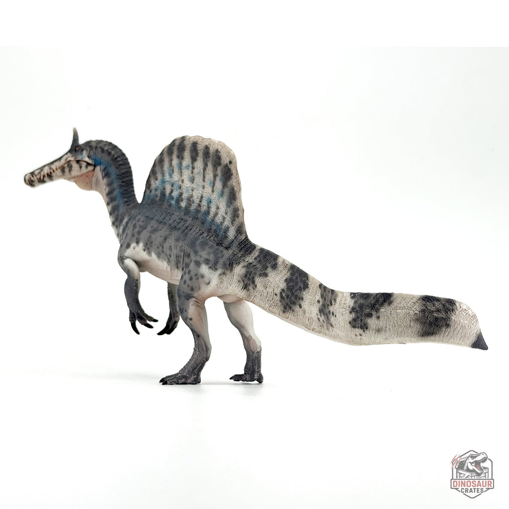 Haolonggood Spinosaurus Mirabilis Dinosaur Figure (PRE-ORDER)