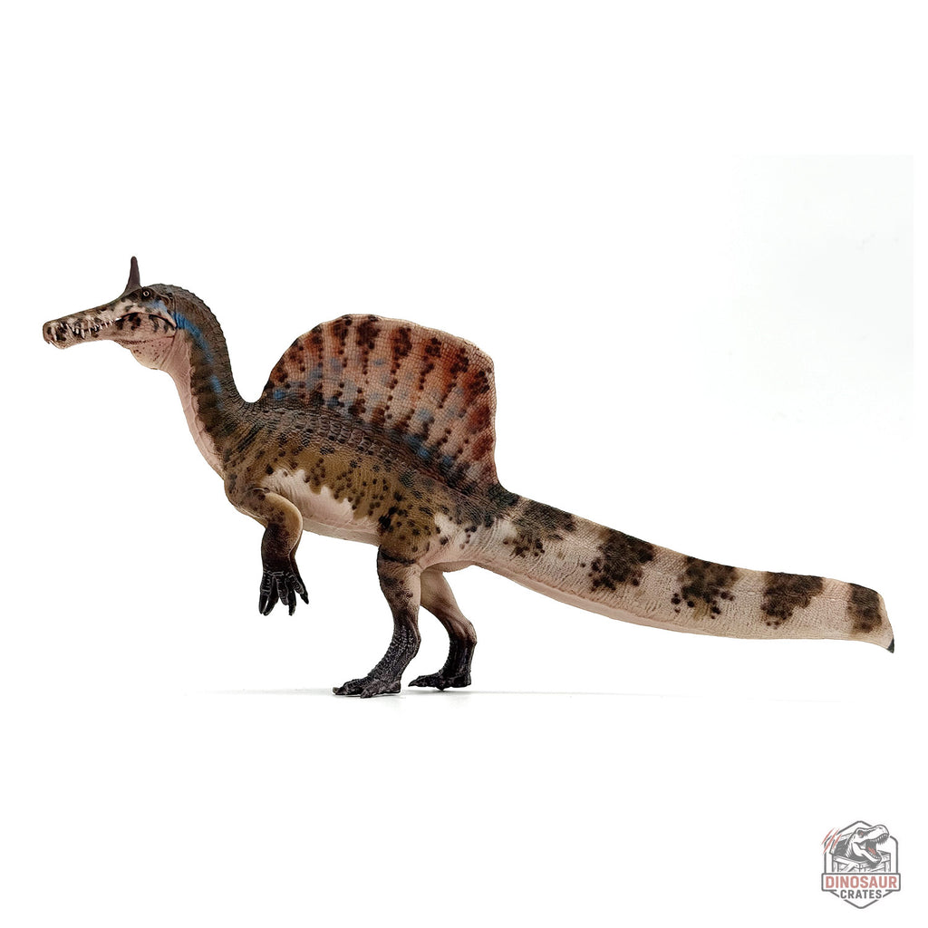 Haolonggood Spinosaurus Mirabilis Dinosaur Figure (PRE-ORDER)