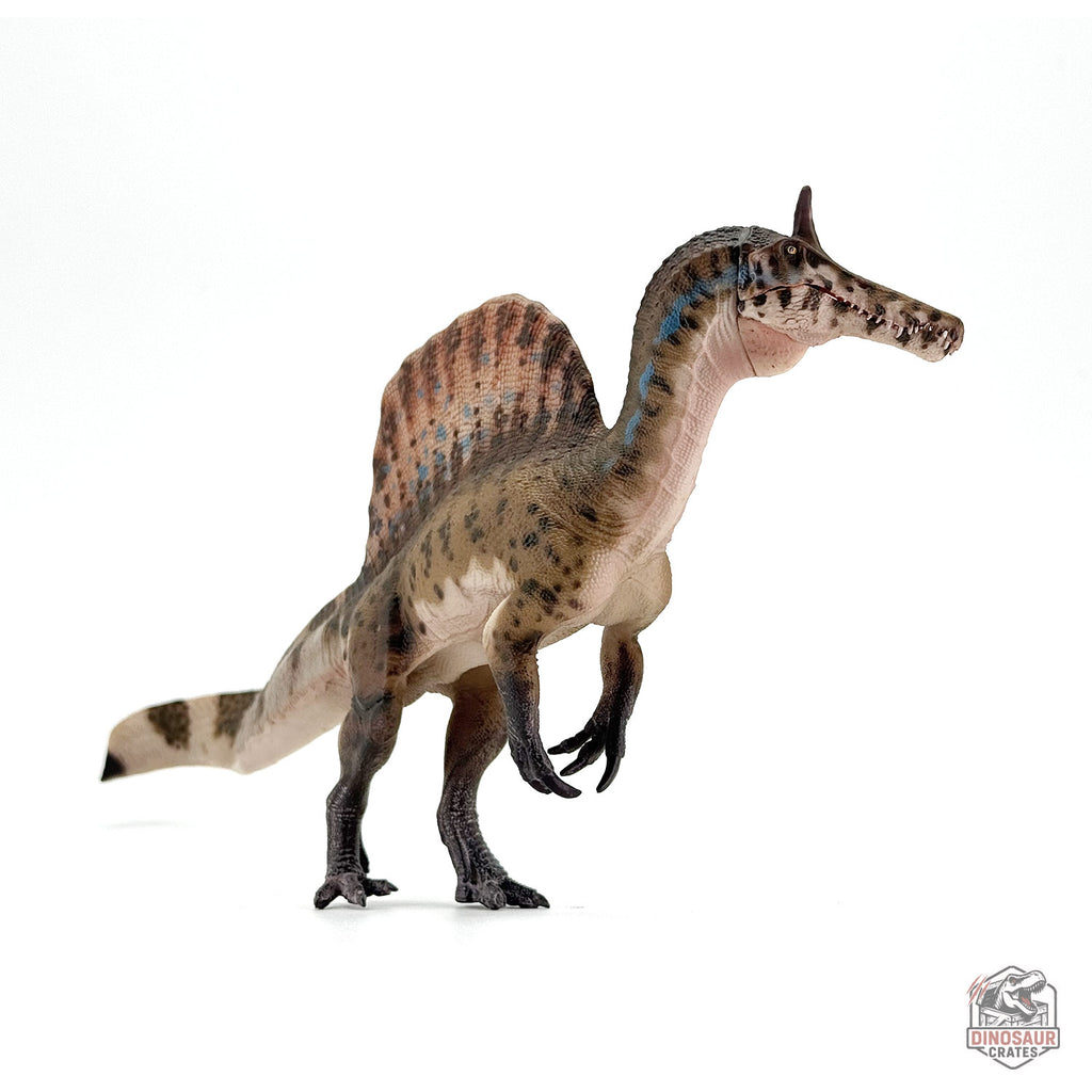 Haolonggood Spinosaurus Mirabilis Dinosaur Figure (PRE-ORDER)